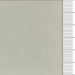 7M2021 Release Paper