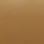 7M101 Carta di rilascio