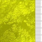 7M8069 Release Paper