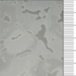 7M8082 Release Paper